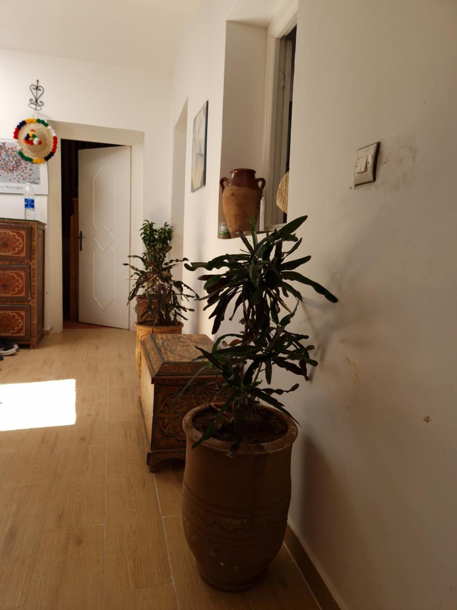 Hostel Banana طنجة المظهر الخارجي الصورة
