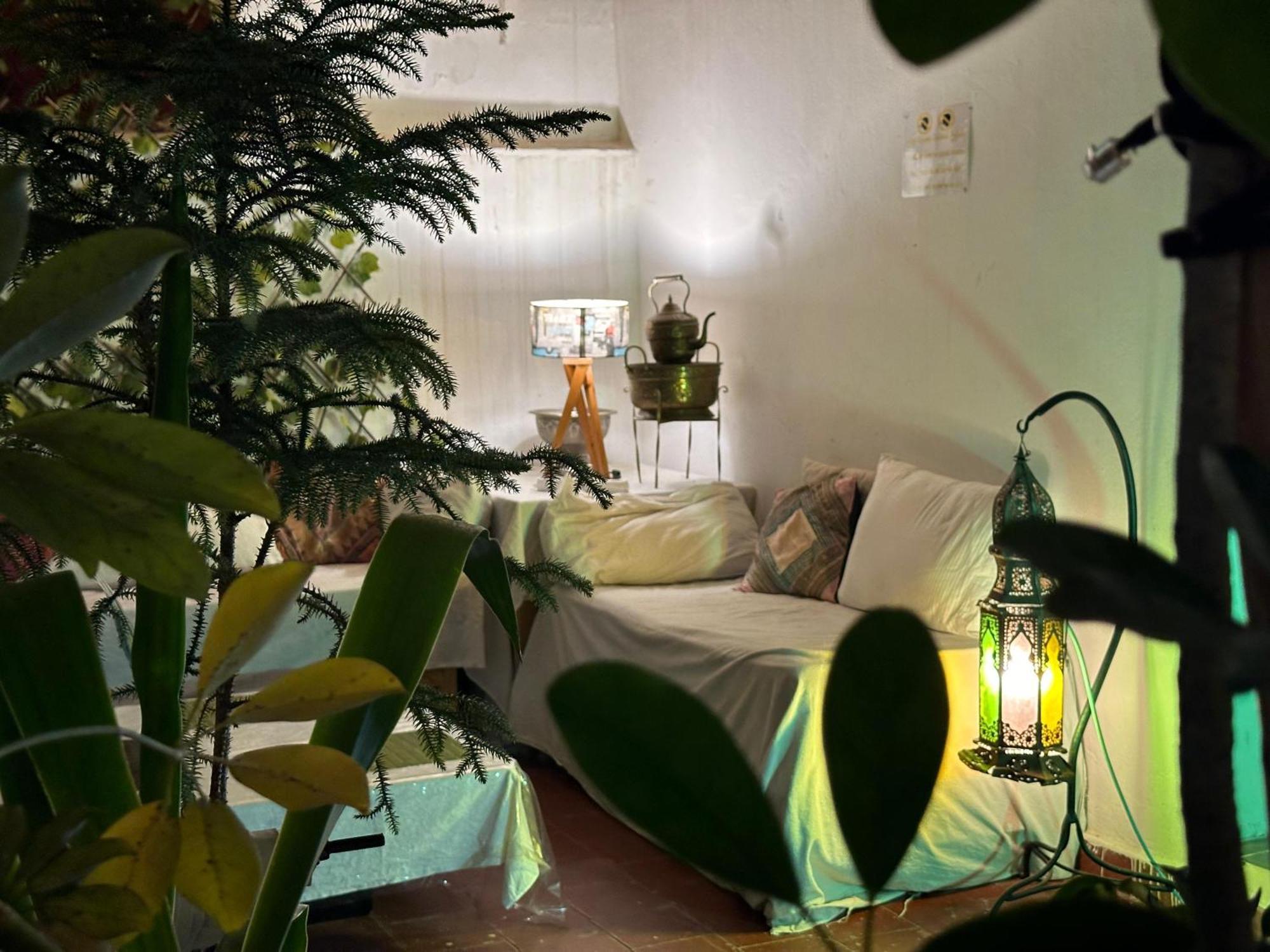 Hostel Banana طنجة المظهر الخارجي الصورة